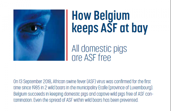 Peste porcine Africaine seulement chez des sangliers en Belgique