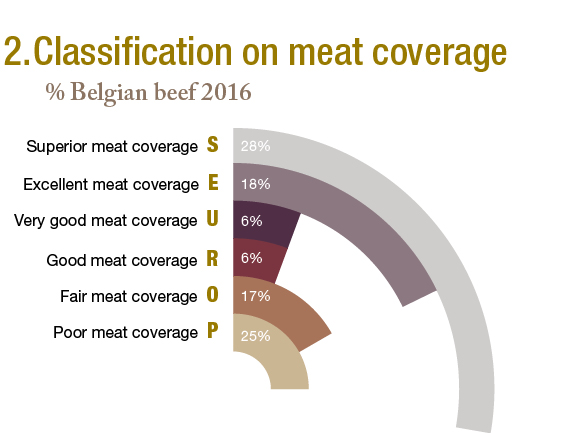 Classification on meat coverage.jpg